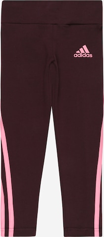 ADIDAS SPORTSWEAR Workout Pants '3-Stripes ' in Red: front