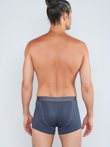 JOOP! Boxer shorts 'Everday' in Grey