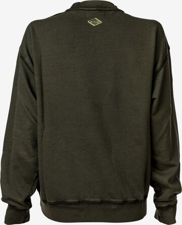 REPLAY Sweatshirt in Green