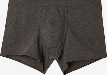 INTIMISSIMI Boxer shorts in Grey: front