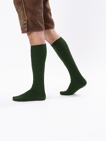 HerzSticht Trachtensocken 'Bergdistel' in Grün