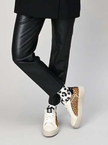 Crickit Sneaker 'Nuria' in Braun