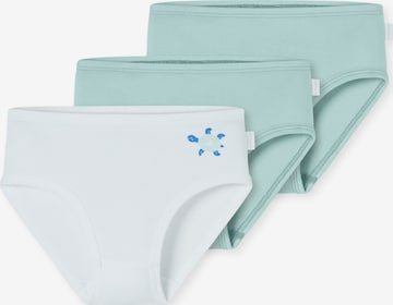 SCHIESSER Slip ' Fine Rib ' in Grün: Vorderseite