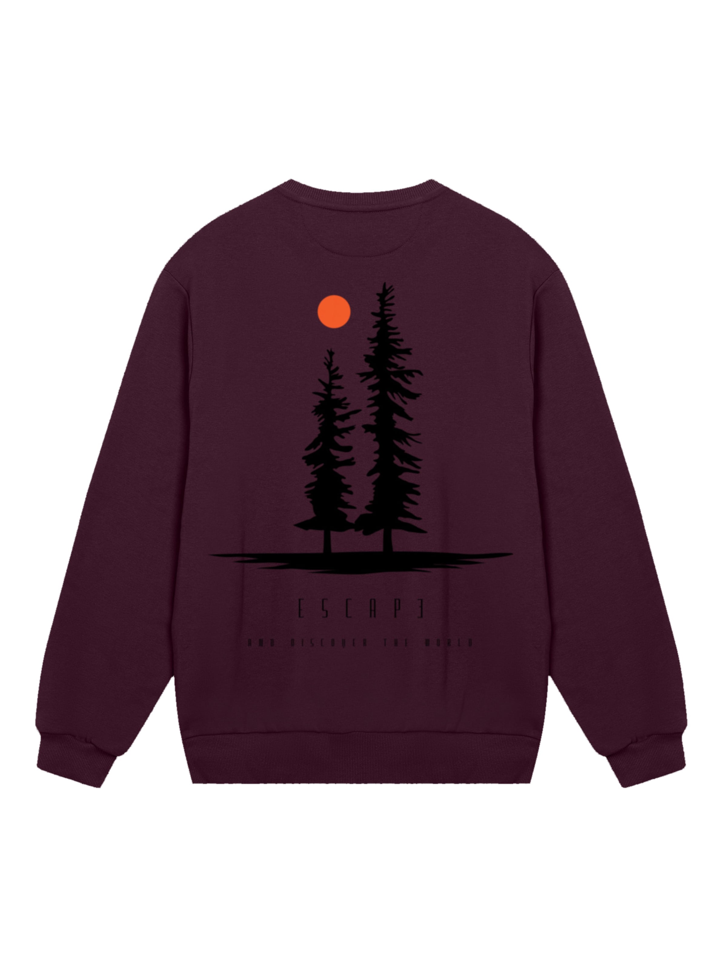Sweat-shirt 'Escape Discover the World Pinetree' F4NT4STIC en marron