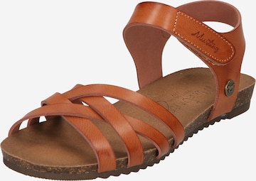MUSTANG Sandals in Brown: front