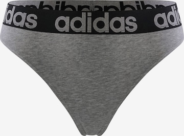 ADIDAS SPORTSWEAR Sportunterhose in Grau