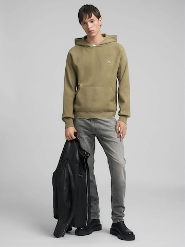 REPLAY Pullover‌‌‌‌‌‌‌ in Grün