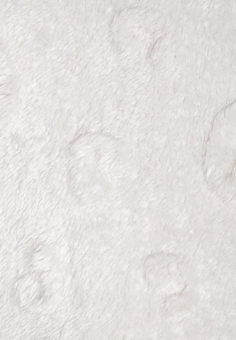 Fouline Shorty in Grey