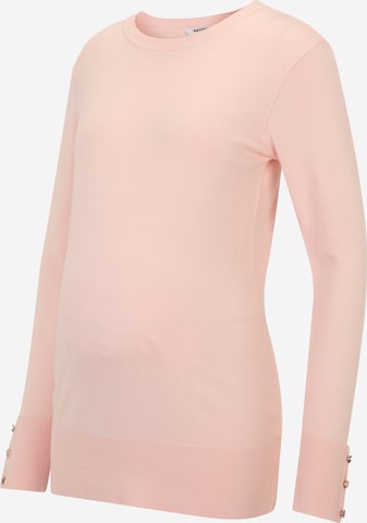 Pullover di Dorothy Perkins Maternity in rosa: frontale