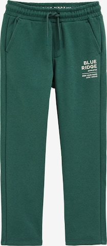 žalia WE Fashion Standartinis Kelnės: priekis