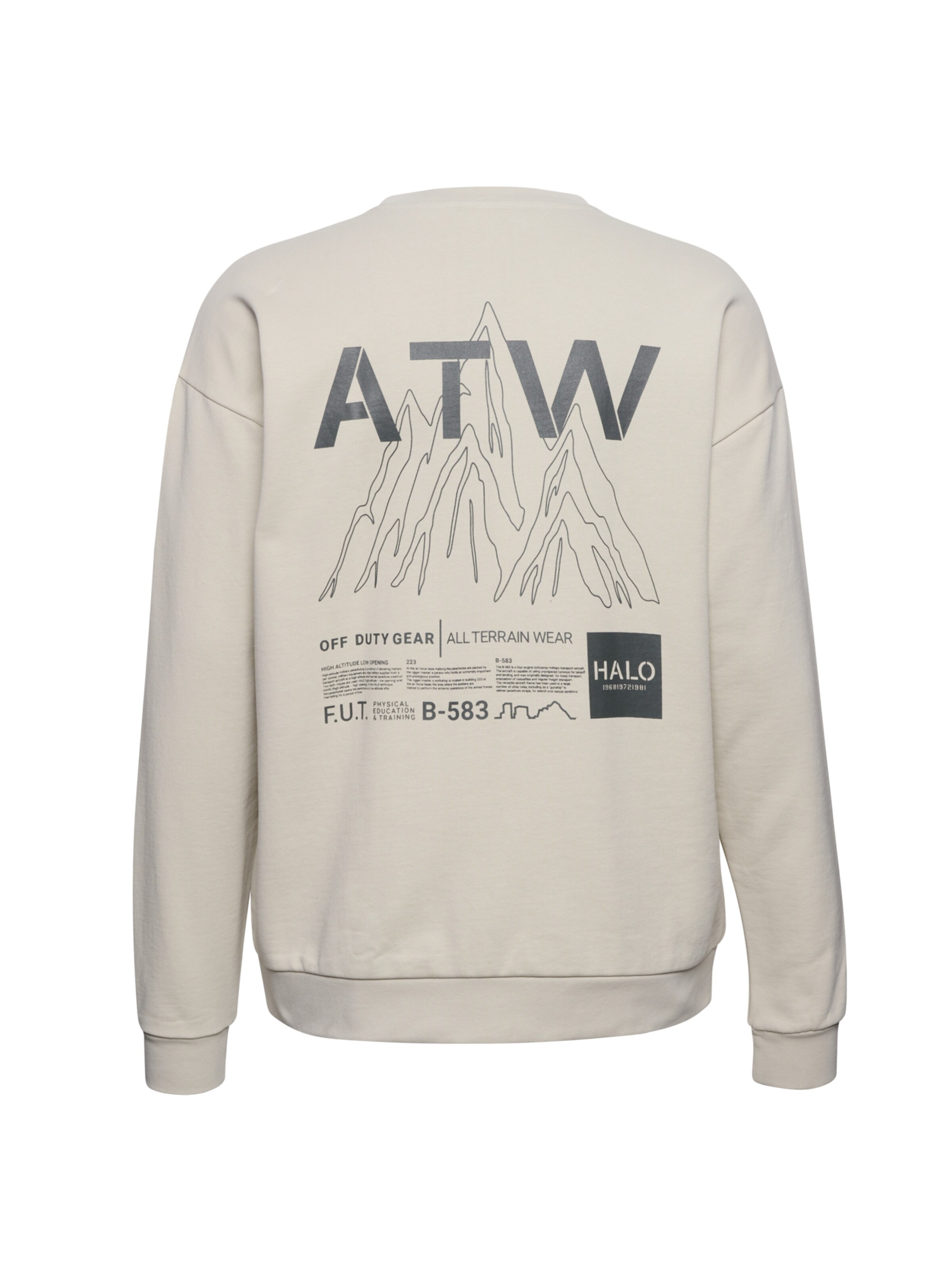 Sweat-shirt HALO en beige