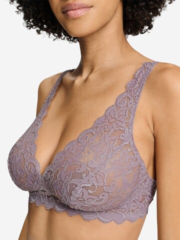 Triangle Soutien-gorge ' Moments ' Hanro en gris