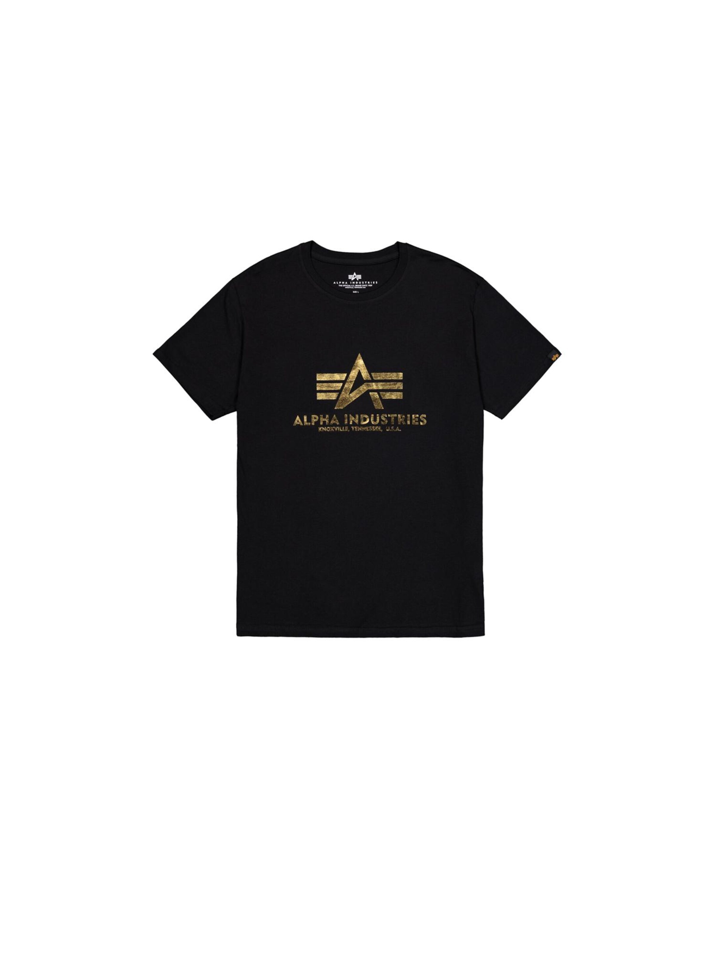 ALPHA INDUSTRIES T-Shirt in Schwarz: Vorderseite