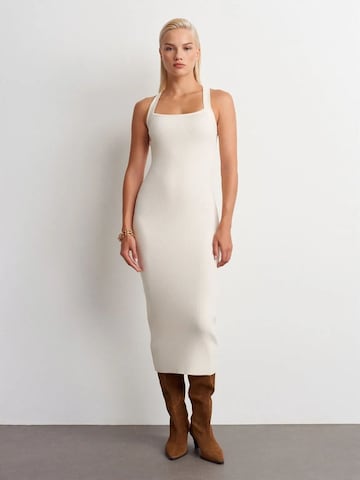 Dilvin Dress 'Midi' in Beige: front