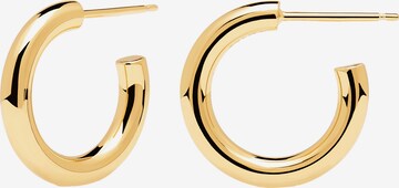 P D PAOLA Earrings in Gold: front