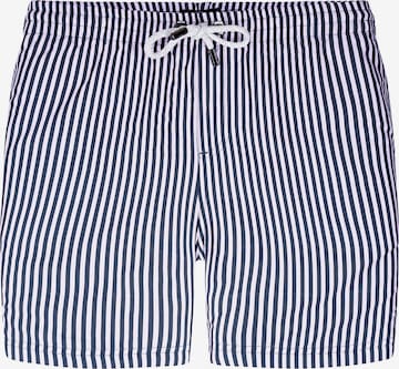 Bondi Joe - Bermudas ' Campbell ' en gris: frente