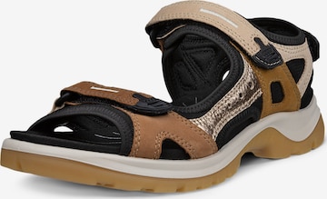 ECCO Matkasandaal 'Offroad', värv segavärvid: eest vaates