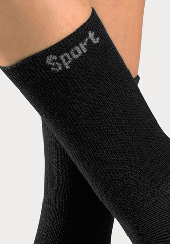 BENCH Athletic Socks in Black