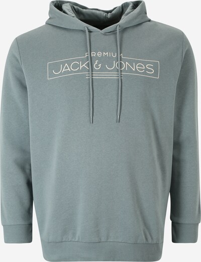 Jack & Jones Plus Sweatshirt in opal / weiß, Produktansicht