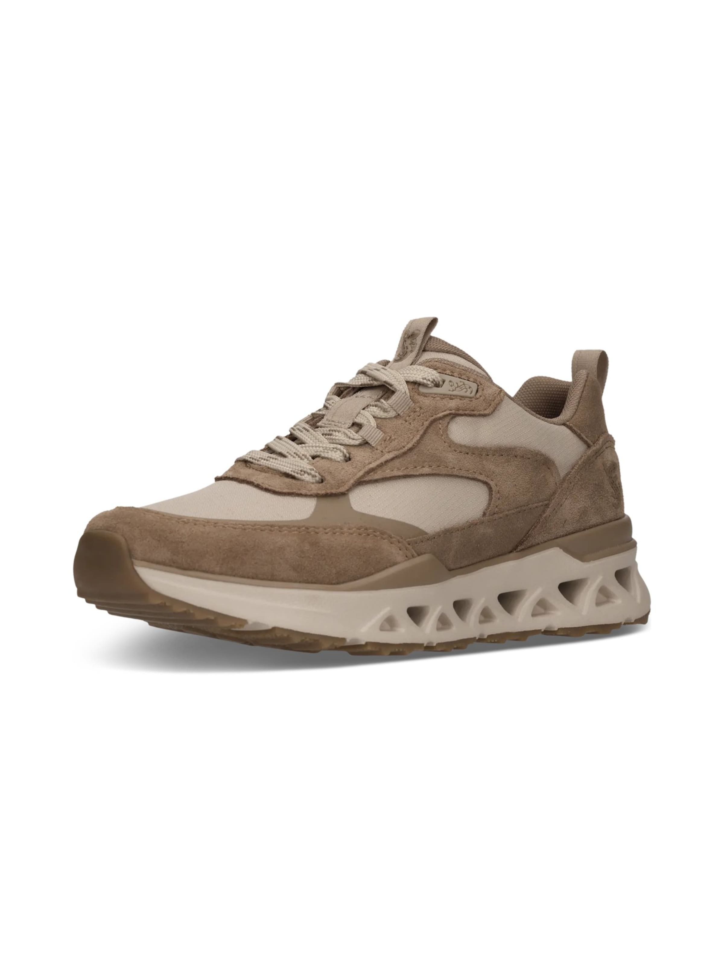 Baskets basses SALAMANDER en beige : devant