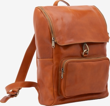 Sac à dos Viola Castellani en marron : devant