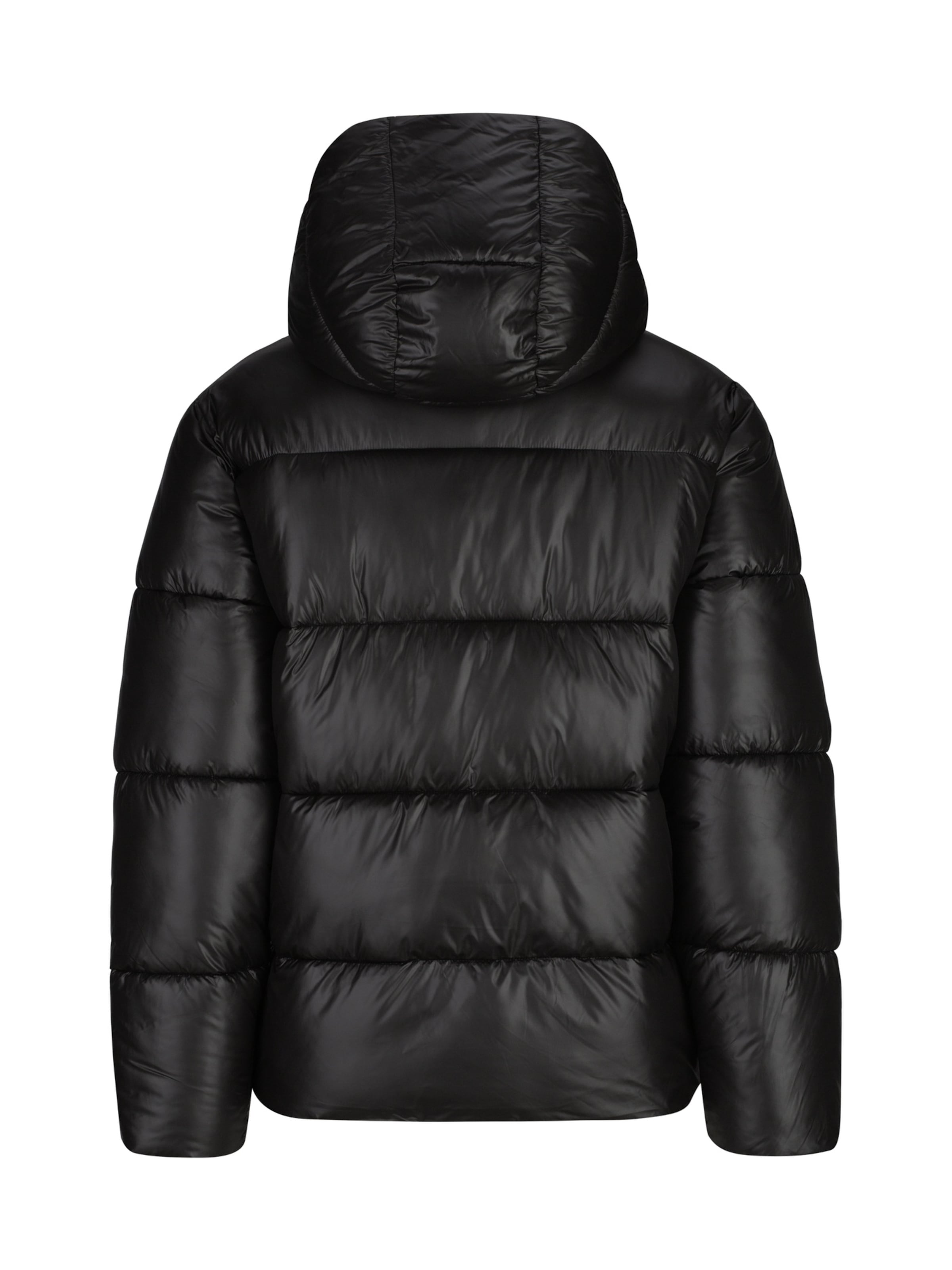 19V69 ITALIA Winter jacket ' Alberto ' in Black: back