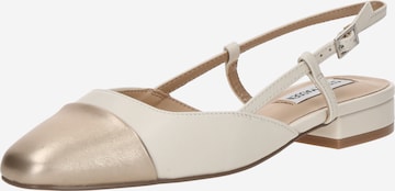 STEVE MADDEN Ballerina 'BELINDA' in Beige: Vorderseite