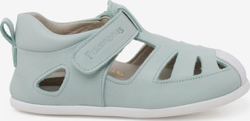 Pisamonas - Zapatos primeros pasos en verde: frente