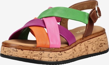 Sandales GABOR en mélange de couleurs : devant