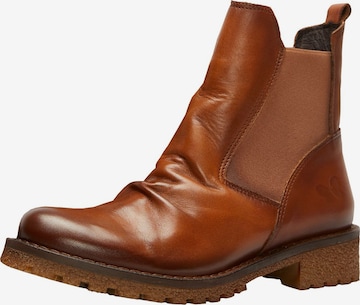 FELMINI Chelsea boots in Bruin: voorkant