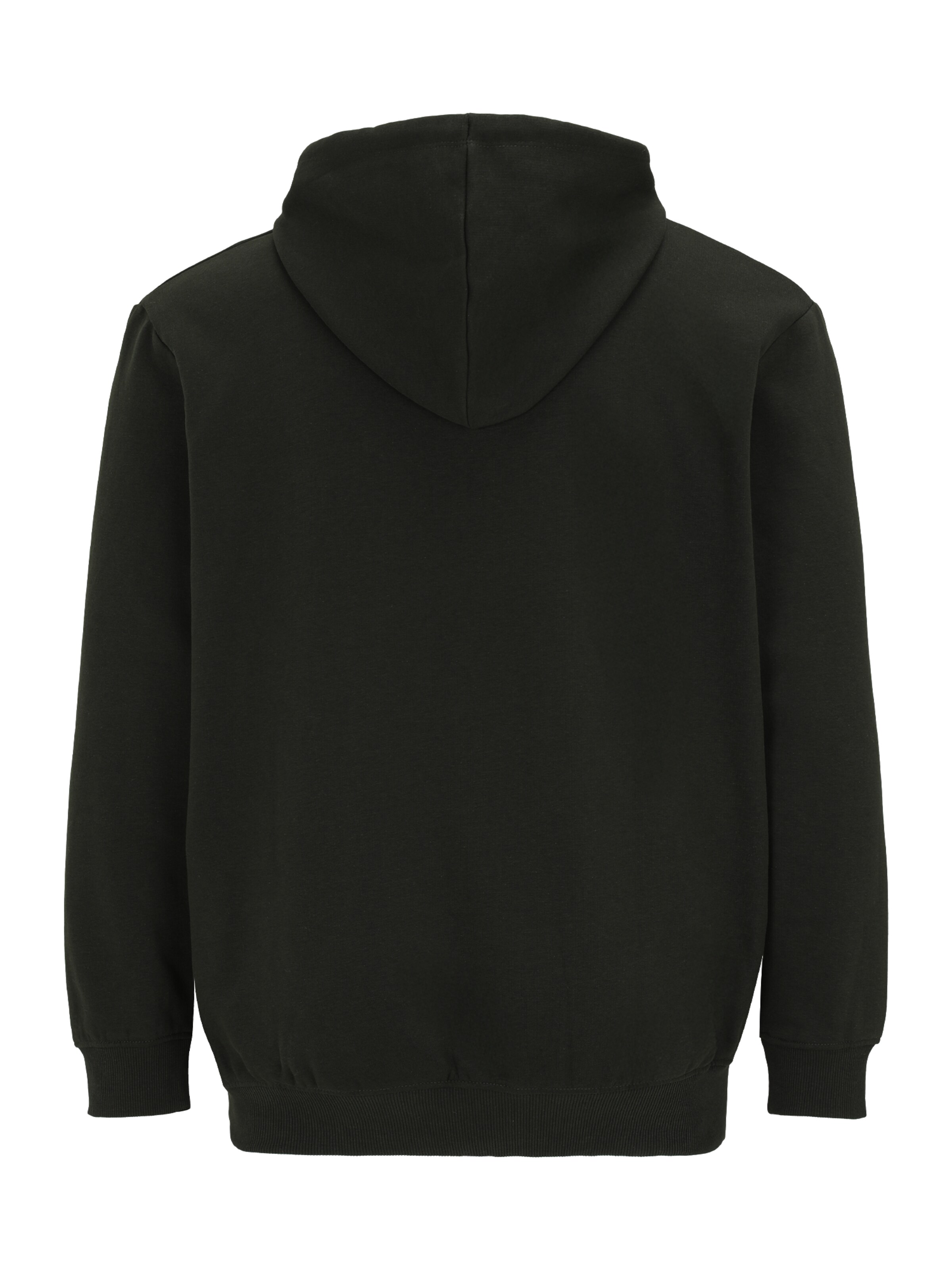 Jack & Jones Plus Sweatshirt i grøn