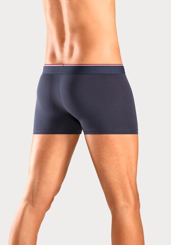 s.Oliver Boxershorts in Grau