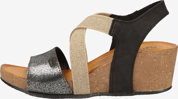 IGI&CO Strap Sandals in Mixed colors