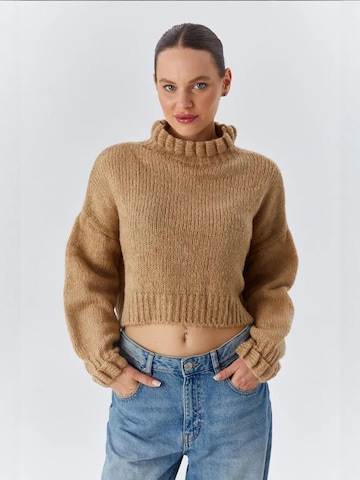 Pullover 'Pullover' di MixRay in beige: frontale