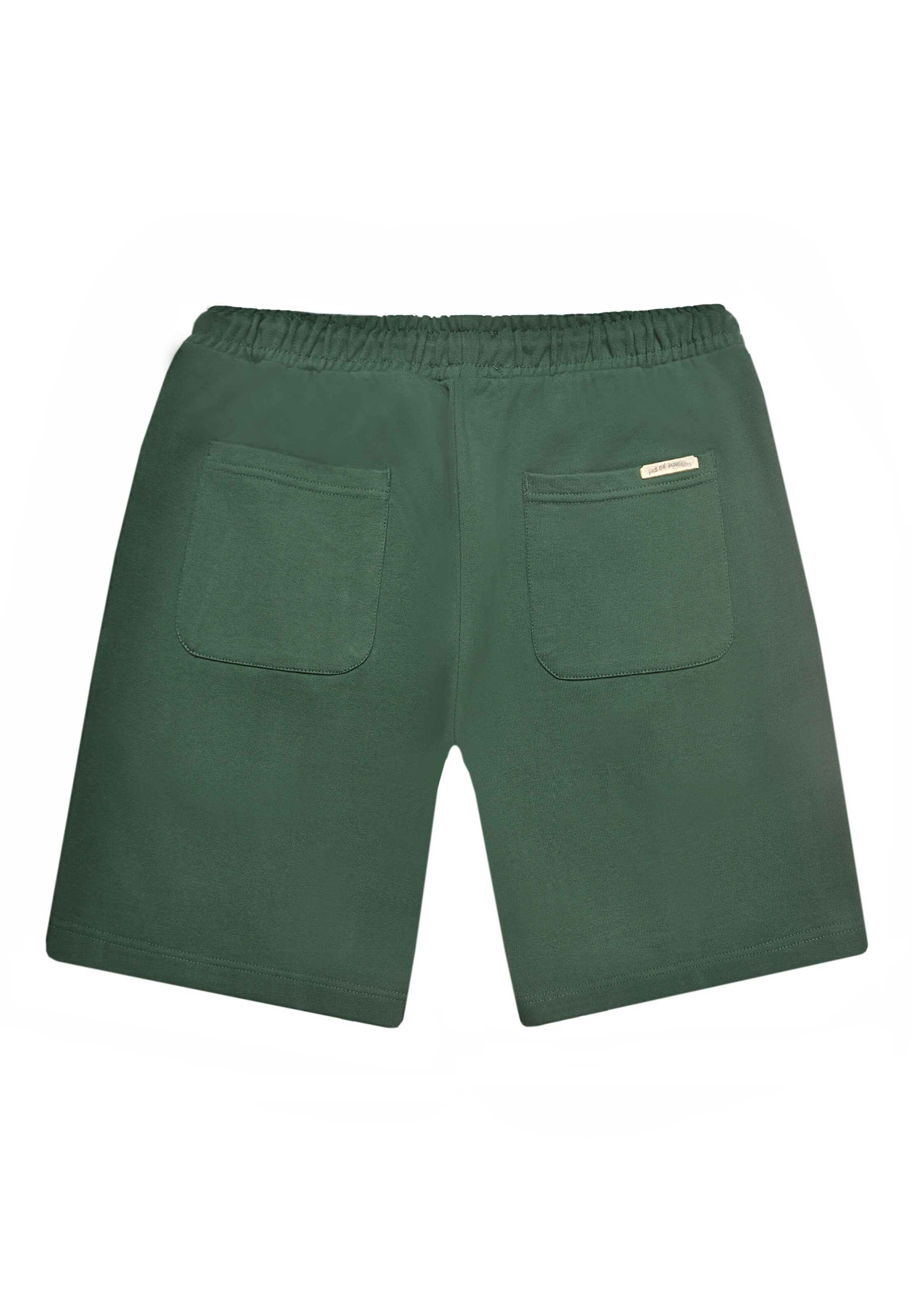 Pas De Monaco Regular Trousers 'LEMANS' in Green