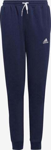 Pantalon de sport 'Entrada 22' ADIDAS PERFORMANCE en bleu : devant