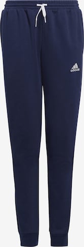 ADIDAS PERFORMANCE Workout Pants 'Entrada 22' in Blue: front