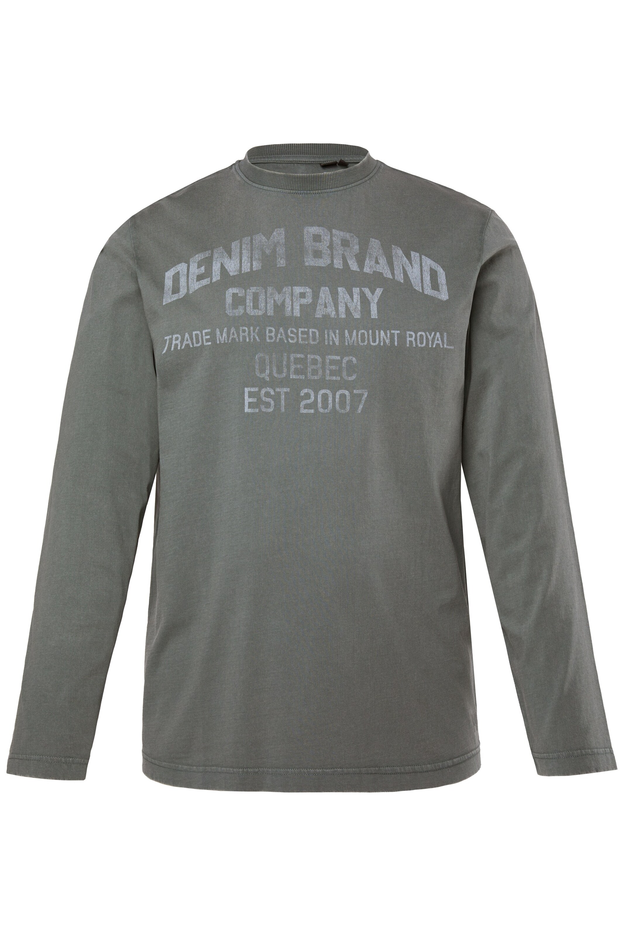 Men Plus Shirt in Grijs: voorkant