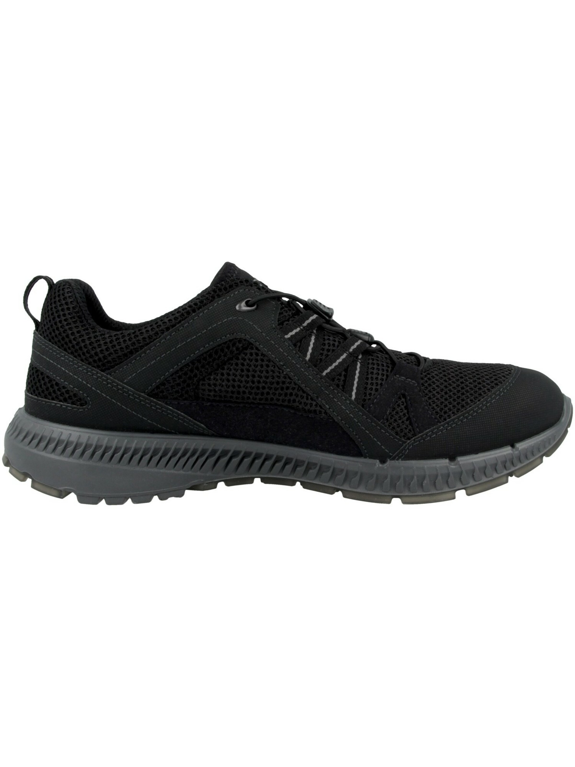 ECCO Outdoorschuh 'Terracruise II' in Schwarz