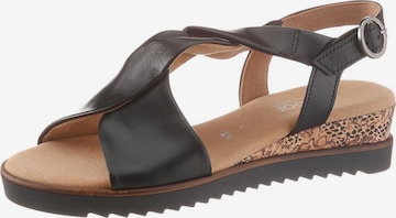 GABOR Strap Sandals in Black: front