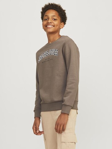 Jack & Jones Junior Sweatshirt in Bruin