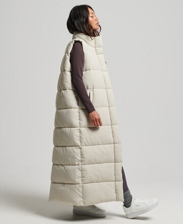 Superdry Bodywarmer in Beige