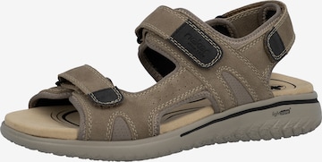 Sandales de randonnée Rieker en marron : devant