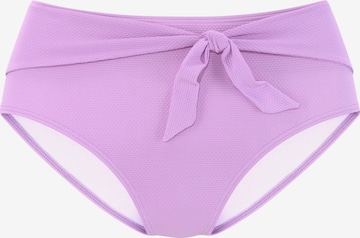 LASCANA Bikini Bottoms in Purple: front