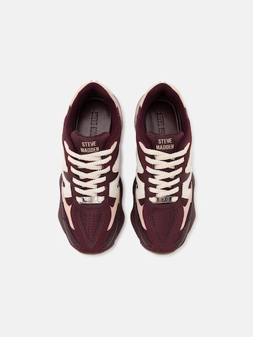 STEVE MADDEN Σνίκερ χαμηλό 'Speeder' σε λιλά