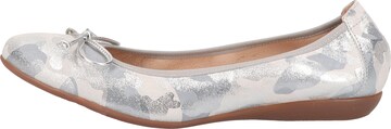 Wonders Ballet Flats in Grey