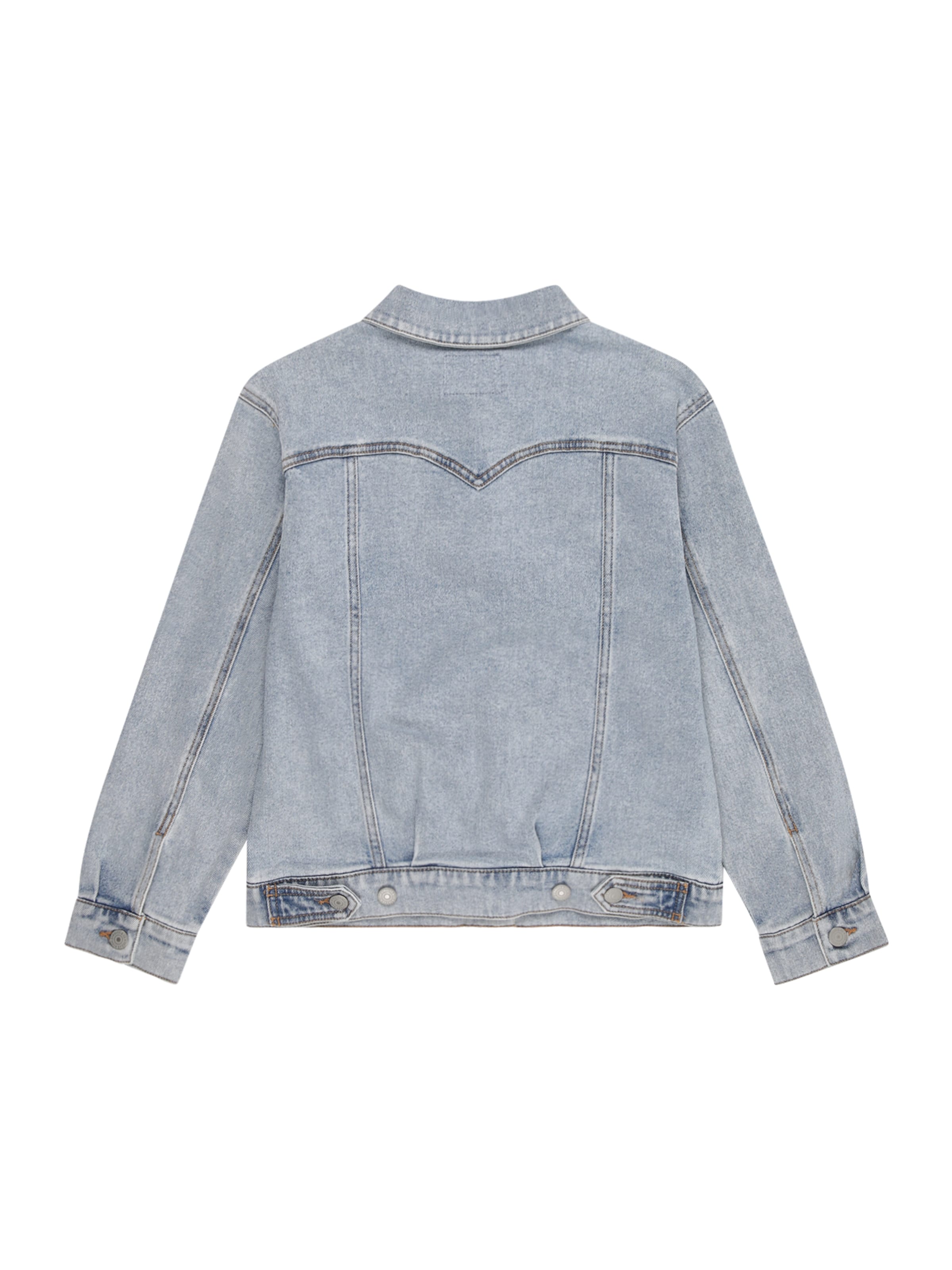 mėlyna Levi's Kids Demisezoninė striukė