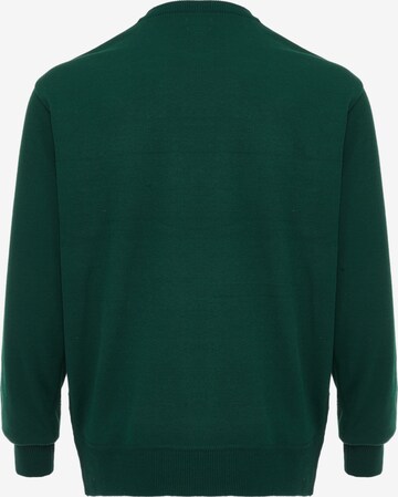RAIDO Sweater in Green