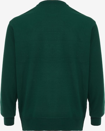 RAIDO Pullover in Grün