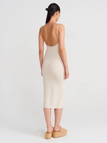 Dilvin Dress in Beige
